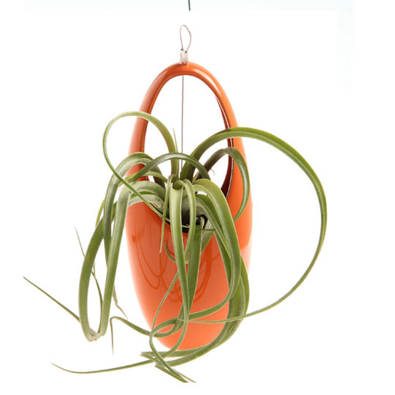 Ceramic Wall Vase, Orange