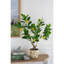 Citronnelle artificielle Peva 12 x 12 x 31,5 po avec verdure réaliste et pot noir