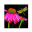 «Color Pop I» par Tina Lavoie, impression sur toile tendue-23091895
