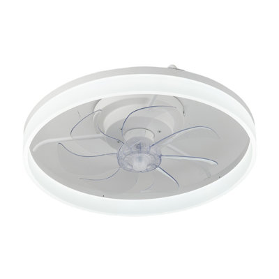 Ceiling Fan