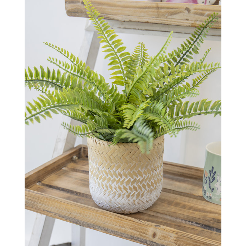 KitchenCraft Bamboo Planter, White Ombré Design