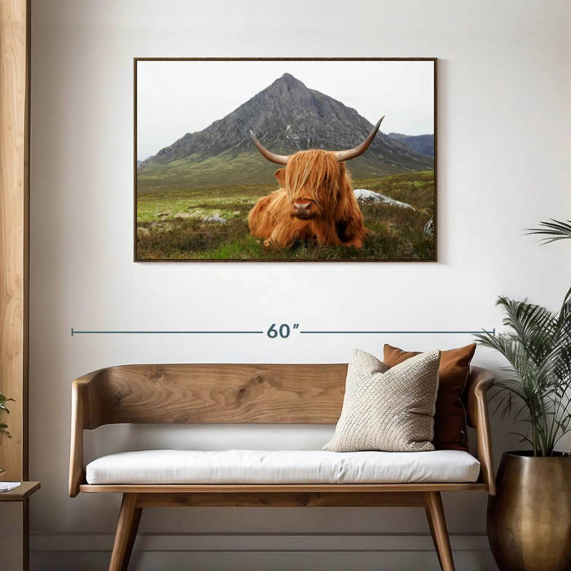 Highland Cow Serenity, Cadre flottant noyer, 40 po x 27 po