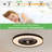 Ceiling Fan Lights With Remote Control, Ceiling Lights Ceiling Led Lights