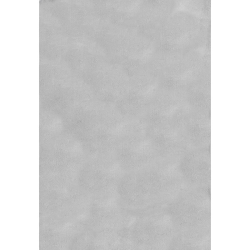 Ainsly Indoor Rug, Rectangle 5' x 8'