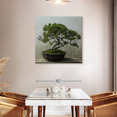 Harnek Potted Bonsai Pine