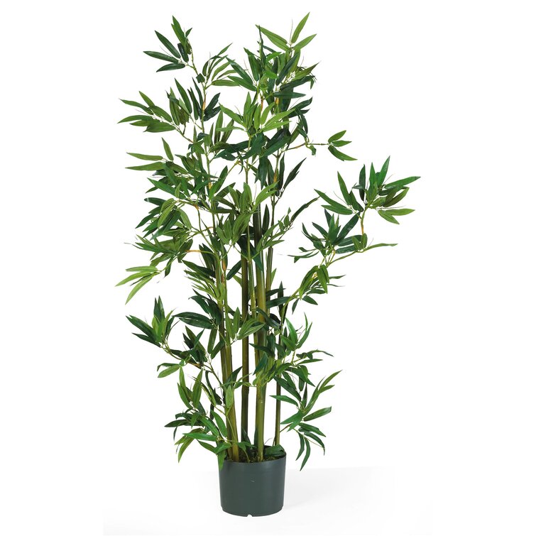 Primrue 48'' Faux Bamboo Plant in Pot & Reviews | Wayfair