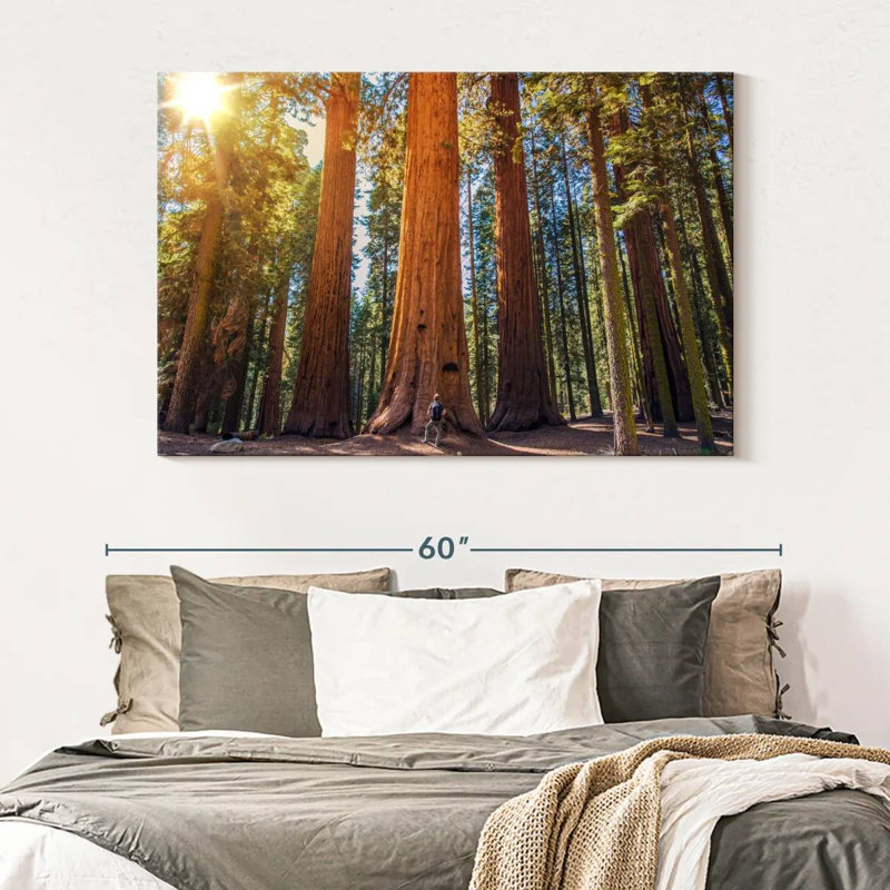 Harnek Giant Sequoia Trees, 34" H x 51" W