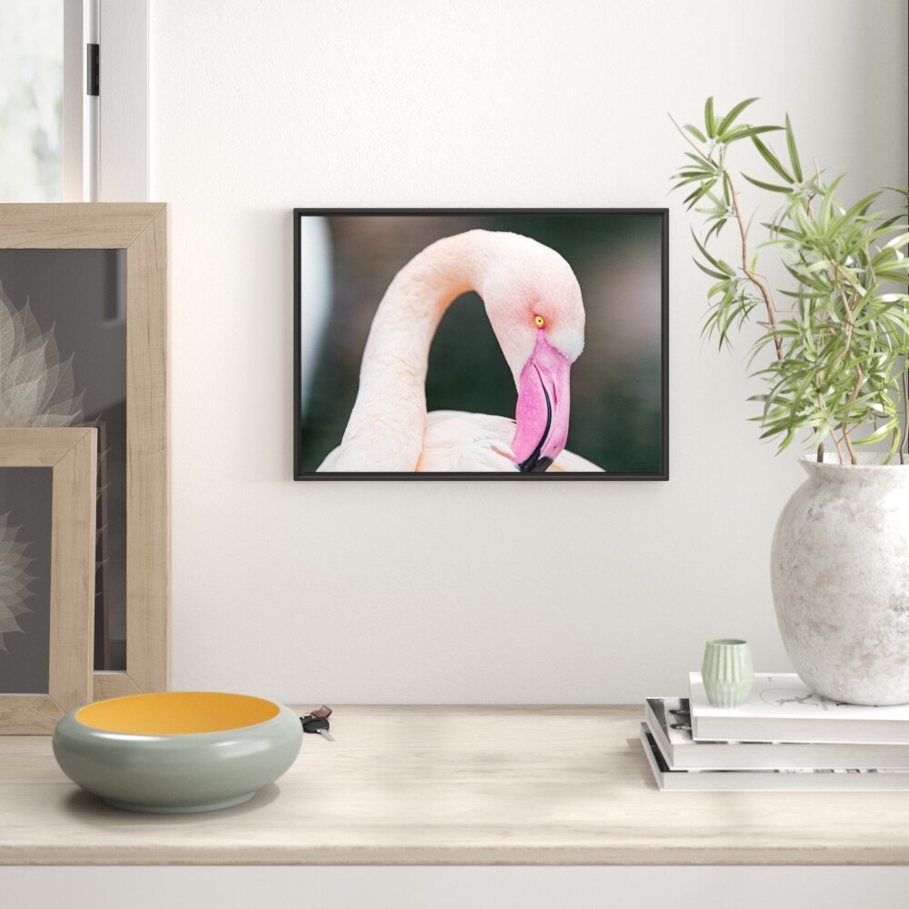 Gerahmtes Wandbild Flamingo beim Putzen