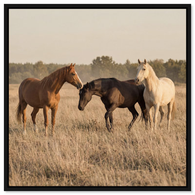 Peaceful Freedom Print by Oliver Gal
