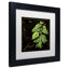 Jadaya Black Gold Herbs IV - cadre photo, impression sur toile-59193888-20124072-20124070