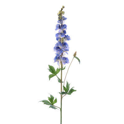 38 "Delphinium Flower"