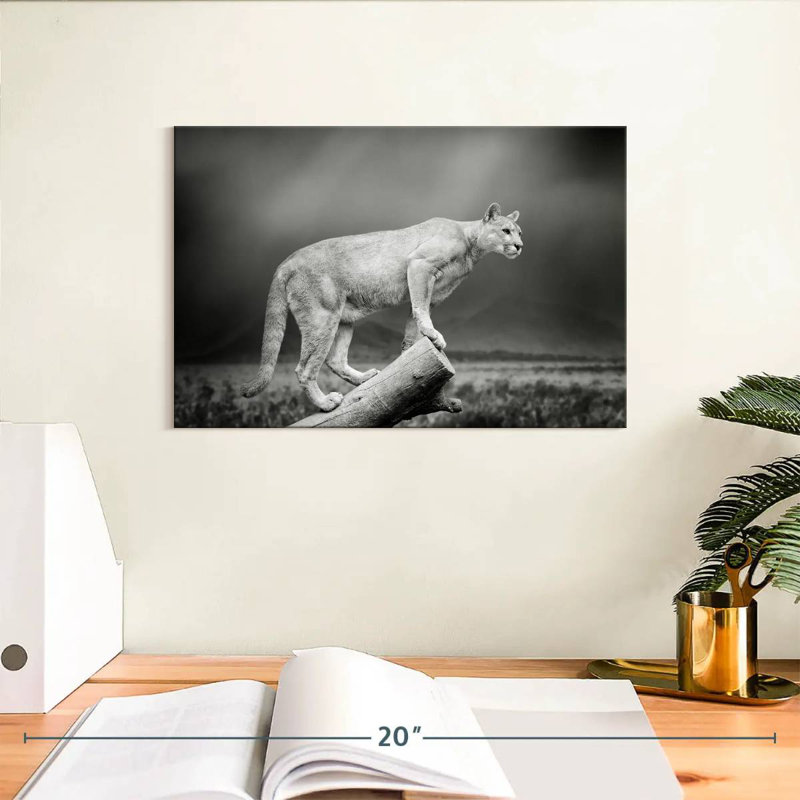 Crowle Dramatic Cougar, 8" H x 12" W