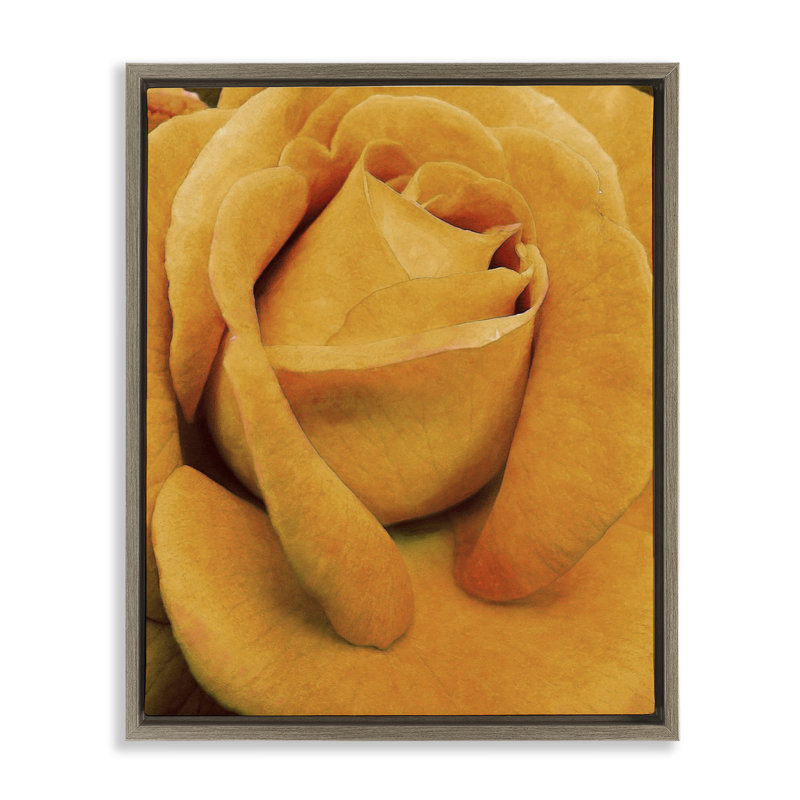 Art mural sur toile flottante encadrée «Yellow Yellow» par Alonzo Saunders, Cadre flottant orme Montalcino, H 21 po x l 17 po