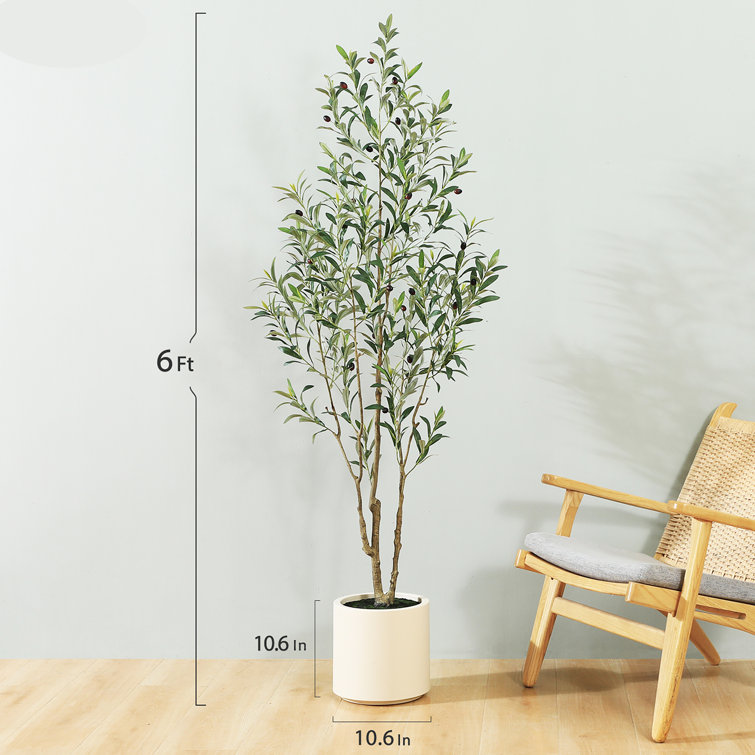 Artificial Olive Plants, 6ft Fake Plastic Olive Tree, Pre Potted Faux  Greenry Plant for Home Decor Office House Living Room Indoor Outdoor, Tall  Plants for Indoor, House Decorations for Living Room 