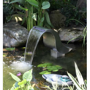 Caractéristique d’eau de piscine en acier inoxydable avec éclairage Swan