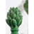 4X4x7.5" Helsa Blooming Artichoke Accent, Smallgreen