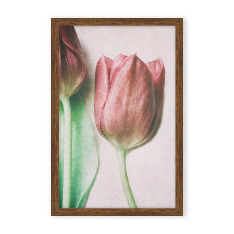 Nature Inspired The Spring Lovers by  - Picture Frame Graphic Art on Paper, Framed Canvas, 48" H x 32" W x 2.375" D, White