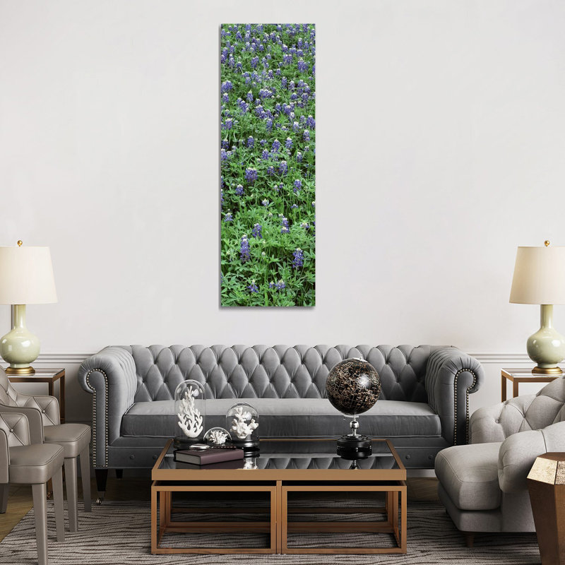 High Angle View Of Plants, Bluebonnets, Austin, Texas, USA - Wrapped Canvas Panoramic Print, 182.88 cm H x 60.96 cm W