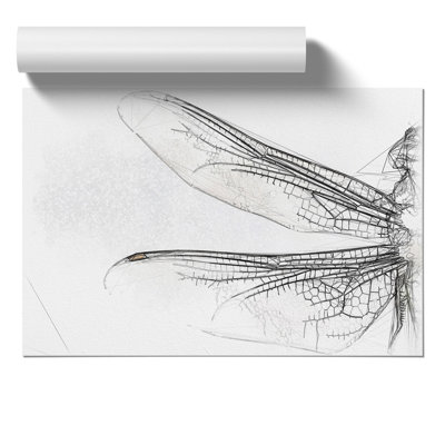 Dragonfly Vol.1 Sketch - No Frame Print