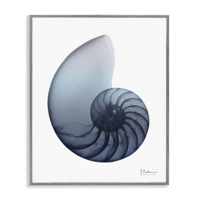 " Contemporary Nautilus Shell " by Albert Koetsier
