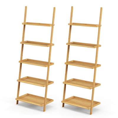 Ladder Bookcase