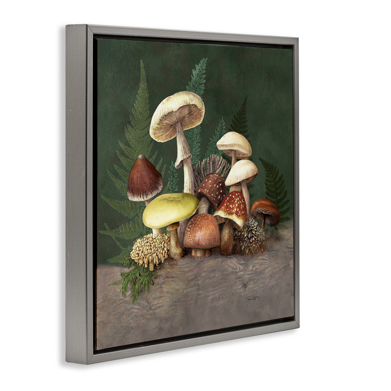 Cadre flottant champignon et fougère nature, design par Tim Coffey, H 18 po x l 18 po, Cadre flottant gris lustré