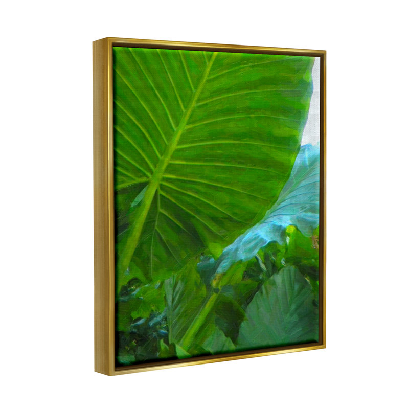 «Stupell Industries Green Palm Leaf», peinture sur toile par Graffi * Tee Studios, H 31 po x l 25 po x P 1,7 po