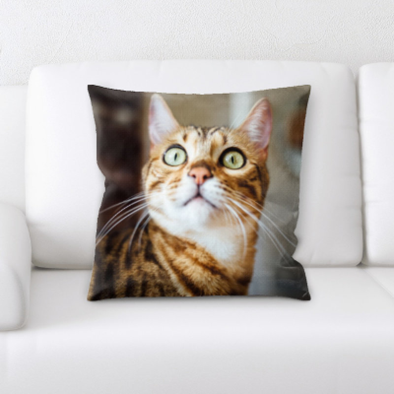 Microsuede Throw Pillow