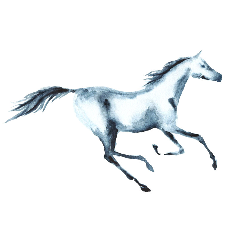 Watercolor Galloping Horse On White by Larisa_zorina - Wrapped Canvas Painting, 30cm H x 30cm W