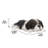 Shih Tzu Puppy Sleeping Statue
