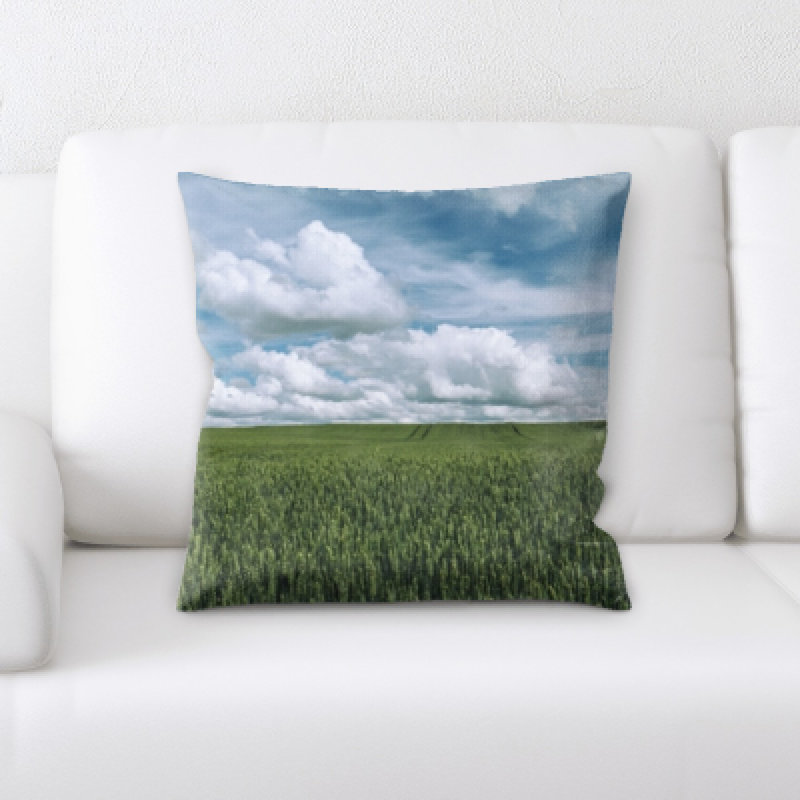 Coussin décoratif Remus