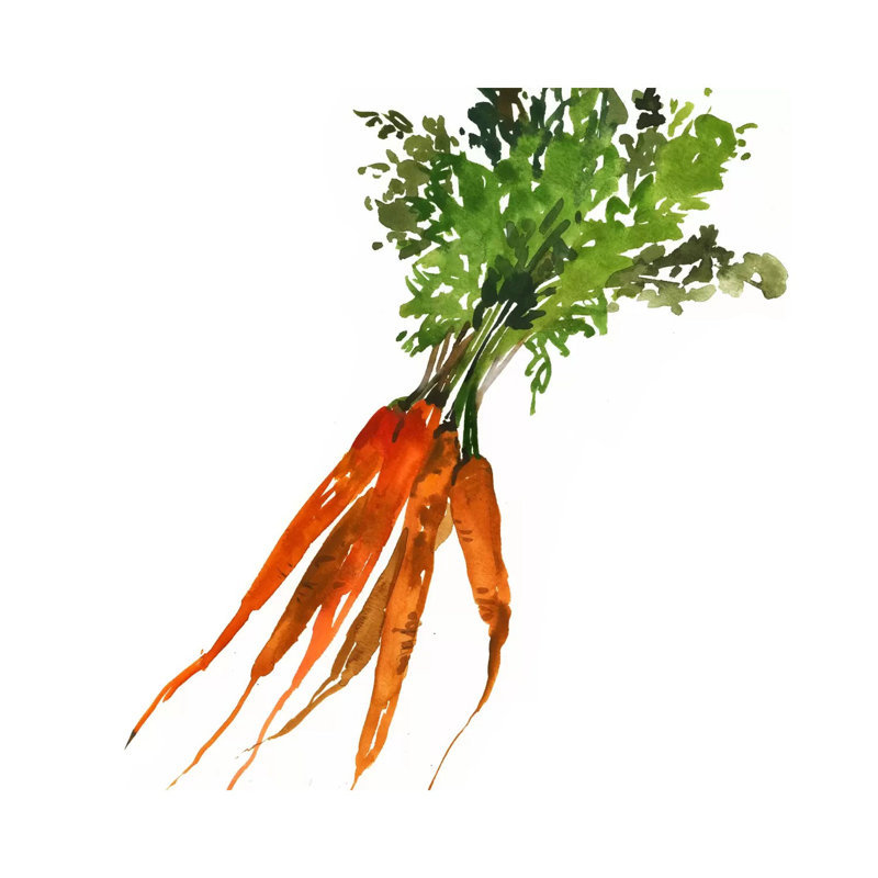 Carrot by Asia Jensen - Wrapped Canvas Print
