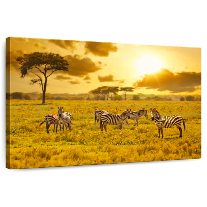 Brampt Zebras At Sunset, 24" H x 36" W