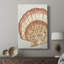 «Vintage Shell Vignette II», galerie tendue sur mesure Cavas-1899513472
