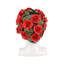 Tête de coquelicots siciliens