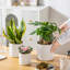 ZTHPOT Ceramic Pot Planter-865196225