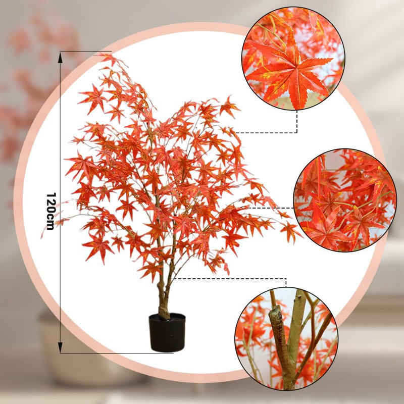 48.03cm Plant