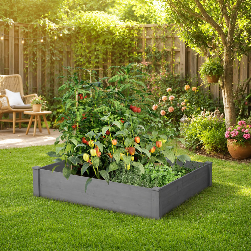 Lit de jardin surélevé 48 po x 48 po x 10 po x 10 pi, jardinière en bois pour l'extérieur, assemblage sans outil