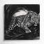 «Big Cats», art léopard sur toile gris-368239864