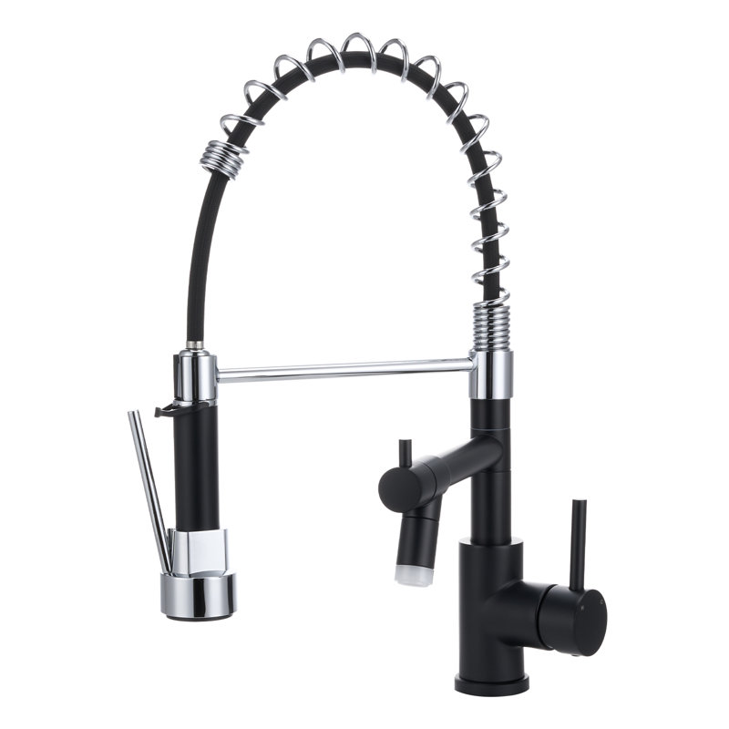 Belfry Kitchen Pull Out Kitchen Faucet, Chrome/Black