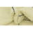 Pepin Ivory Rug
