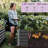 Seiter  6X3x1.5ft Metal Outdoor Raised Garden Bed with gloves,Black-192055465-191018814