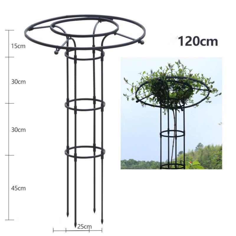 Taegyn Plant Stand