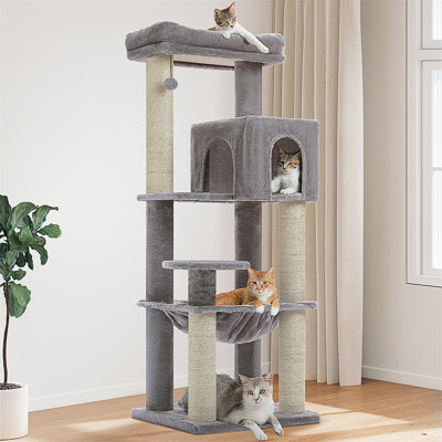 Arbre à chat