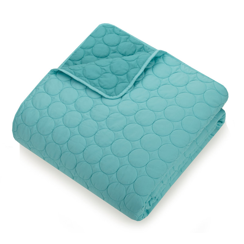 Aqua Blue Twin Reversible Microfiber Kids Quilt Set