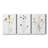 " Pressed Botanical I " 3 - Pieces-1966438093