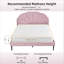 Deeb Tufted Upholstered Flower Silhouette Headboard Platform Bed-787205992-787205996