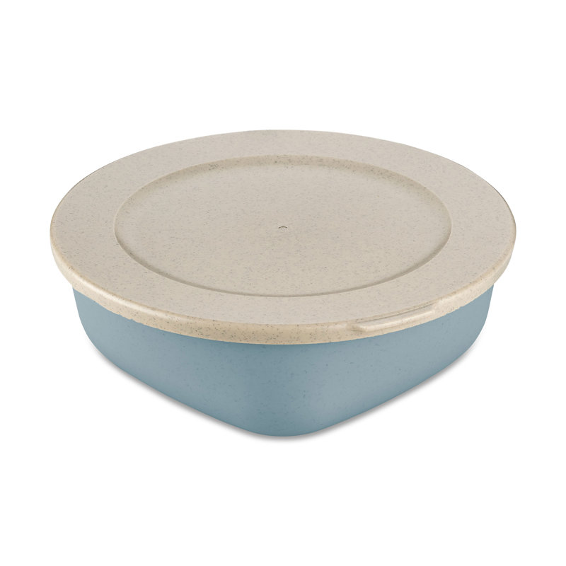 Food Storage Container