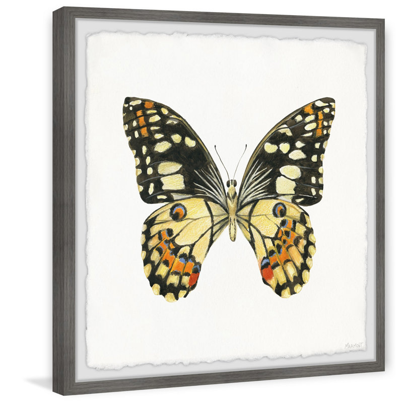 Scaly Wings - Single Picture Frame Painting, 81cm H x 81cm W x 3.81cm D
