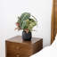 Artificial Plant